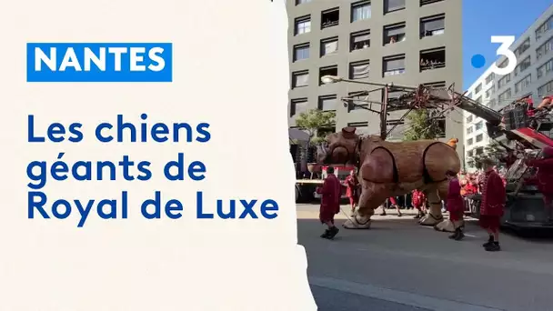 Une dernière promenade et au lit, pour El Xolo et Bull Machin, les 2 chiens géants de Royal de Luxe