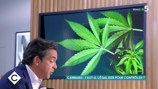 Cannabis : faut-il légaliser pour contrôler ? - C à Vous - 05/05/2021