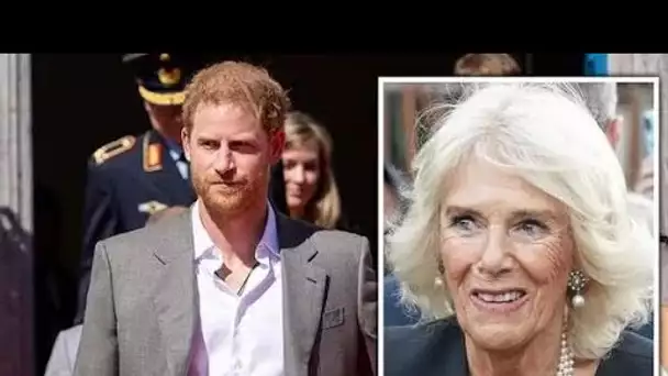 Le prince Harry "a dit des choses vraiment désagréables sur Camilla", affirme l'auteur