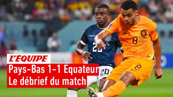 Pays-Bas 1-1 Équateur : Le débrief du match (Coupe du monde 2022)