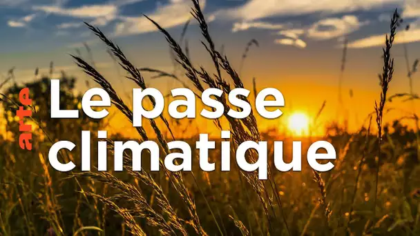 Passer la loi au crible du climat | Isabelle Autissier - 28 Minutes - ARTE