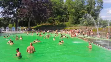 Une piscine « bio » ouvre en Belgique !