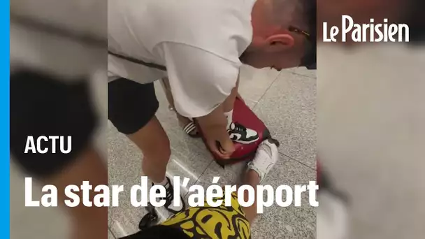 Ryanair : il arrache les roulettes de sa valise à l’aéroport pour éviter de payer le supplément baga
