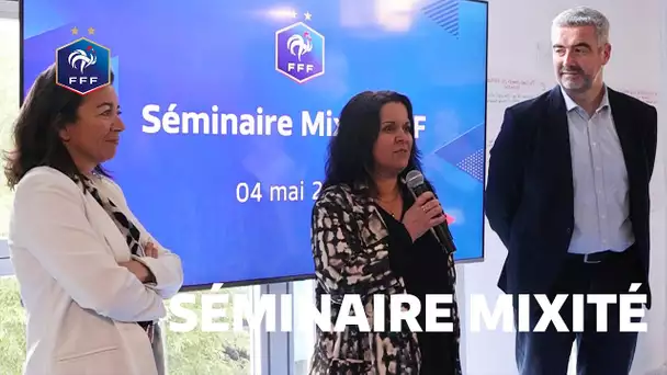 Séminaire Mixité à Montpellier