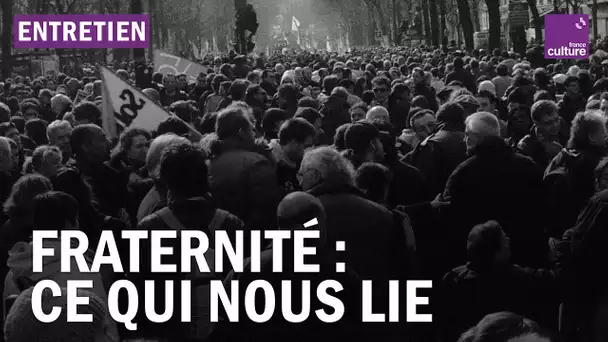 Ce qui nous lie, une histoire de la fraternité