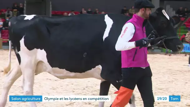 La vache Olympie présentée par des étudiants du Tarn au salon de l'agriculture