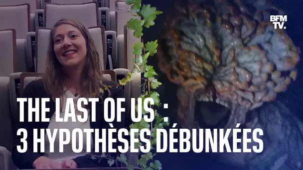 "The Last of Us": une experte en champignons de l'Institut Pasteur débunke le cordyceps de la série