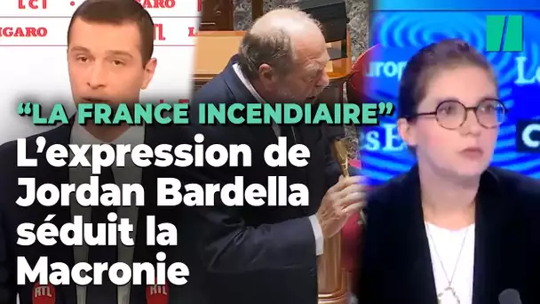 Aurore Bergé reprend une expression de Jordan Bardella pour « rebaptiser la France insoumise »