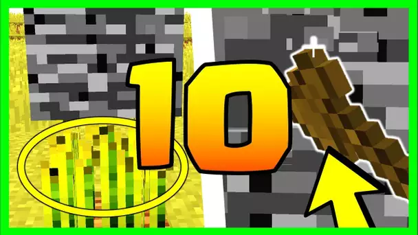 LE SAVIEZ VOUS ? 8 SECRETS SUR LA BEDROCK MINECRAFT