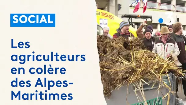 Les agriculteurs en colère des Alpes-Maritimes déversent du fumier devant la préfecture