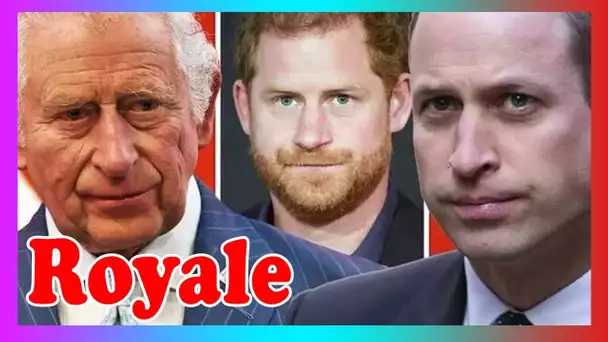 Harry fustigé pour avoir «embroché Firm de mille façons» après le dernier sn0b de William et Charles