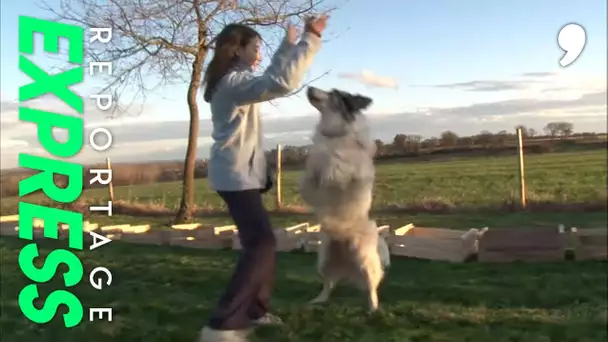 Le dog dancing, ou danser avec son chien