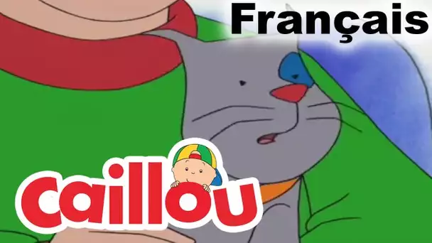 Caillou: Caillou Gilbert Chez Le Vétérinaire | conte pour enfant | Caillou en Français