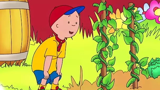 Le Jardin de Caillou | Caillou en Français