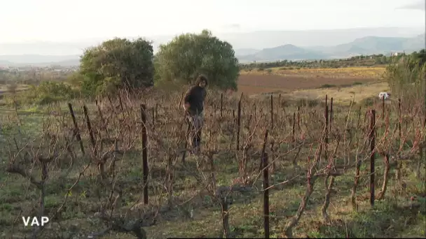 Crise économique dans l'Hérault. Extrait Viure al País du 13 décembre 2020