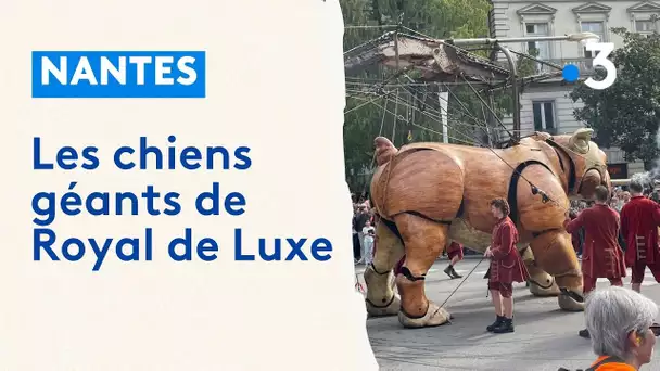 El Xolo et Le Bull Machin, les 2 chiens géants de Royal de Luxe envahissent le centre de Nantes