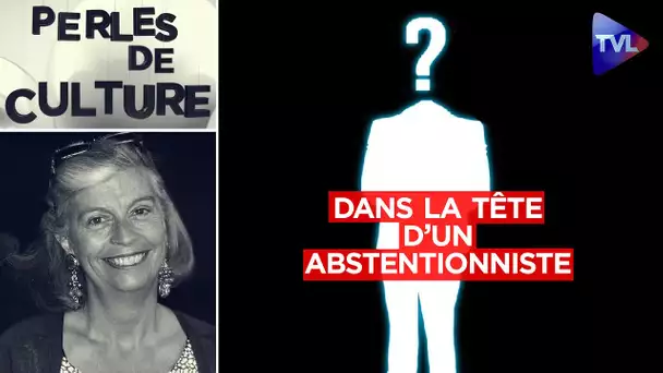 Que se passe-t-il dans la tête d'un abstentionniste ? - Perles de Culture n°334 - TVL