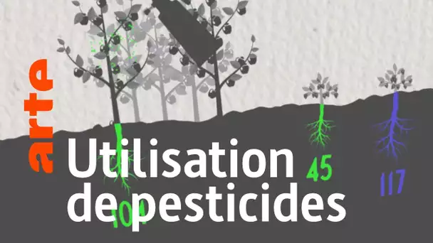 L'agriculture biologique n'utilise pas de pesticides : Vrai ou Faux ? | Data Science vs Fake | ARTE