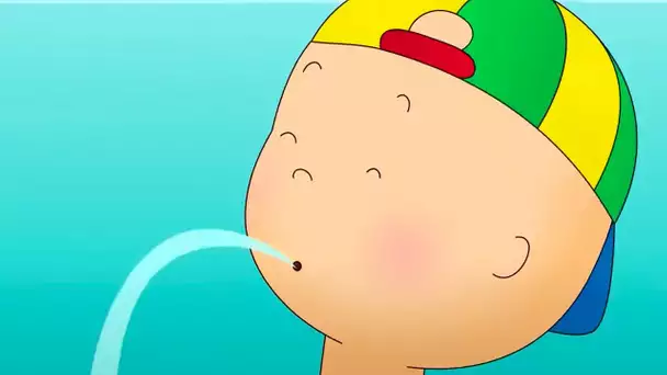 Caillou et la Sécurité Aquatique | Caillou en Français