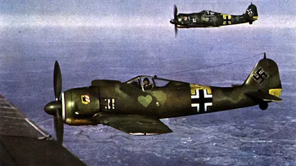 Les avions de la Seconde Guerre mondiale - La Luftwaffe