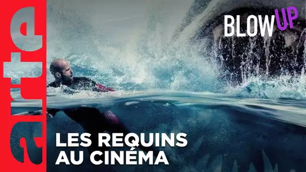 Les Requins au cinéma | Blow Up | ARTE