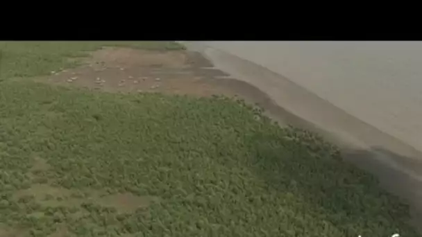 Nigéria : pirogues sur la plage