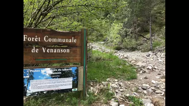 Après les ravages de la tempête Alex, la création d’un sentier botanique à Venanson