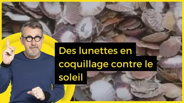 Des lunettes en coquillage contre le soleil - C Jamy