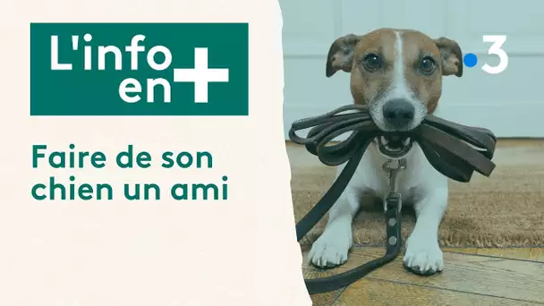 L'info en plus : Faire de son chien un ami