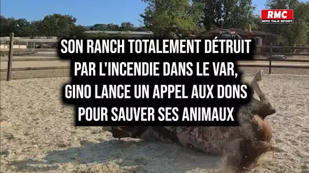 Son ranch totalement détruit par l'incendie dans le Var, Gino lance un appel aux dons