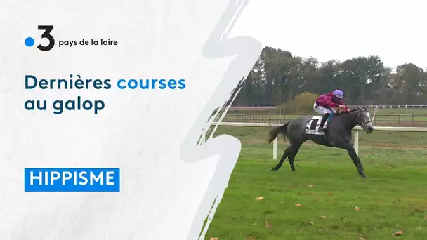 Hippisme : dernières courses et bilan de fin de saison