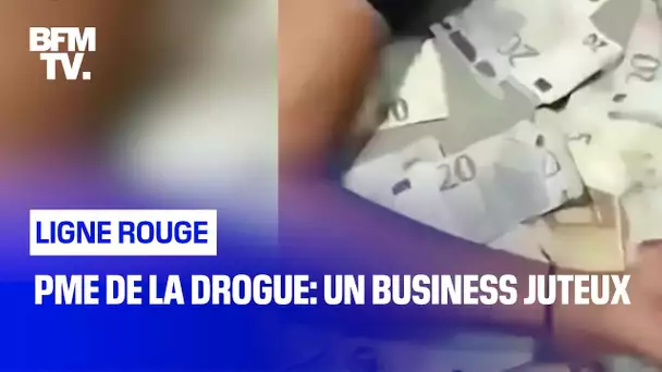 "PME de la drogue": un business juteux