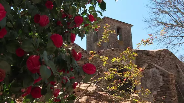 Patrimoine : la belle dame de Saint-Laurent, en Aveyron sort de l'oubli