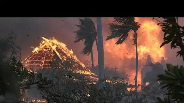Incendies à Hawaï : au moins 36 morts (autorités locales)