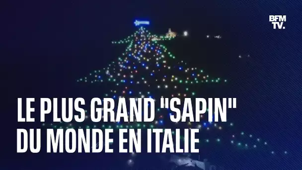 le plus grand "sapin" de Noël au monde s'illumine... en Italie