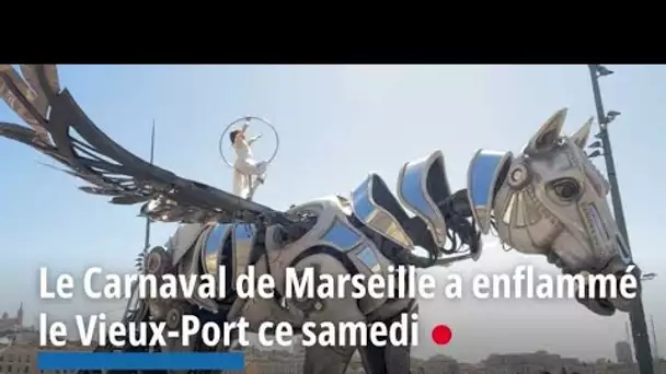 Le Carnaval de Marseille a enflammé le Vieux-Port ce samedi