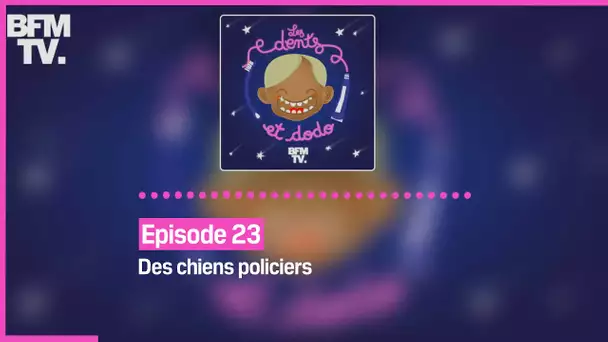 Episode 23 : Des chiens policiers - Les dents et dodo