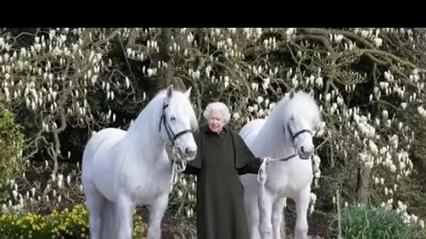 La personnalité « en service » de la reine « flamboyante » glisse alors que la « joie » est exposée