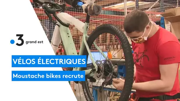 Moustache bikes recrute
