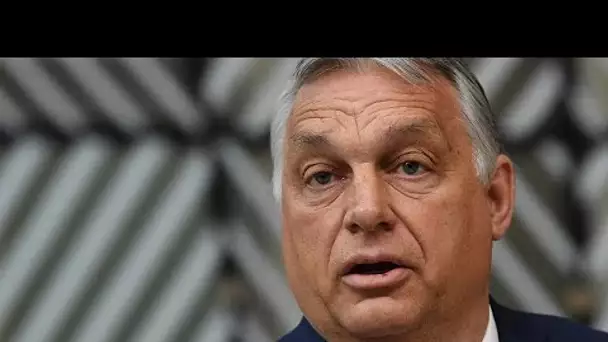 Hongrie : Viktor Orban en appelle à la fin du "diktat" européen