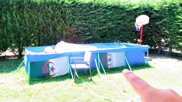 ZANTAR VEUT PEINDRE MA PISCINE AVEC LE DRAPEAU DE L’ALGÉRIE ... TOUT NE SE PASSE PAS COMME PRÉVU