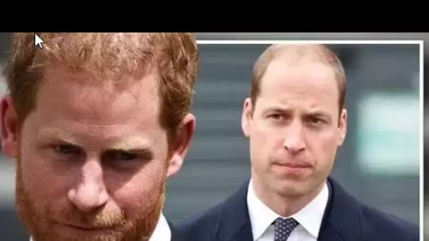 L'explosion amère" du prince Harry après que William "a entraîné la famille" dans la rangée des frèr