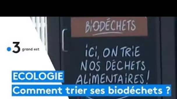 De plus en plus de communes installent des conteneurs pour trier les biodéchets