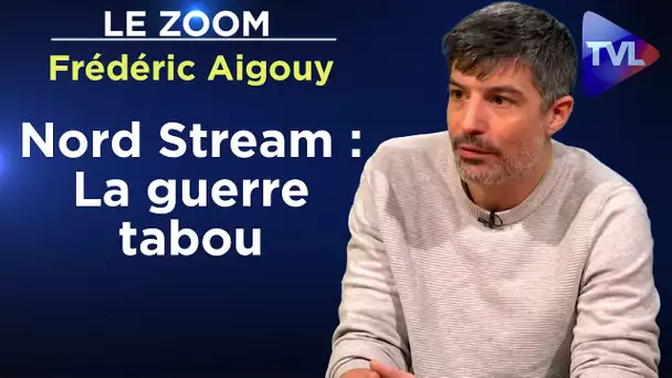 Le journaliste interdit d’Elysée ! - Le Zoom - Frédéric Aigouy - TVL