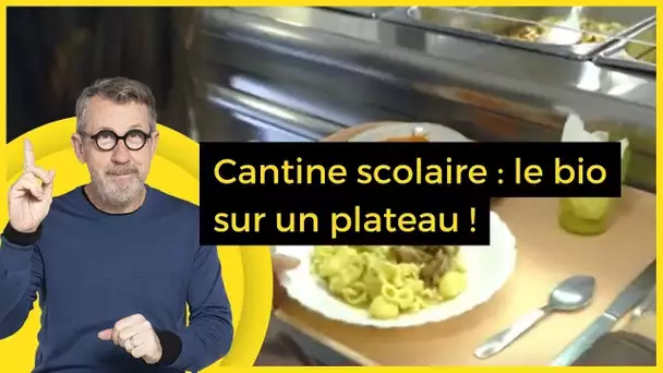 Cantine scolaire : le bio sur un plateau !  - C Jamy