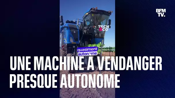 Cette machine fait les vendanges (presque) toute seule