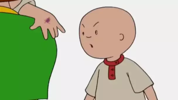 L'Accident | Caillou en Français