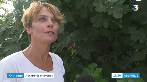 La Rochelle : "Aux arbres citoyens", une association qui lutte contre le gaspillage alimentaire