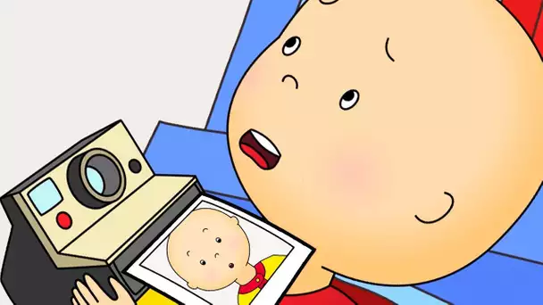 Caillou en Français | Caillou le Photographe | dessin animé | dessin animé pour bébé