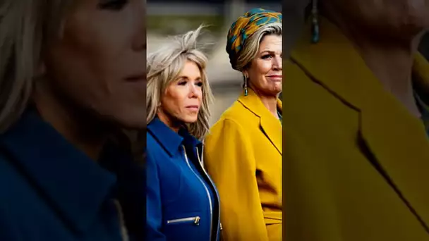 Brigitte Marcon Pensive #elegance #brigittemacron #love #shortsfeed #frenchchic #style #music